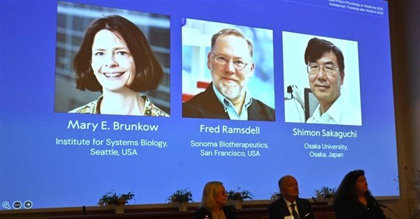 諾貝爾醫學獎　美日3學者發現免疫系統調節性T細胞獲表彰 | 科技 | 中央社 CNA