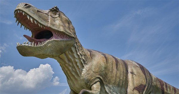 研究：暴龍長到最大體型要花40年　比原先認為多15年 | 科技 | 中央社 CNA