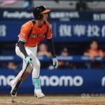 林佳緯3安擊敗悍將進季後賽名單　險失隊友首勝球 | 運動 | 中央社 CNA